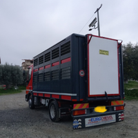 Eurocargo