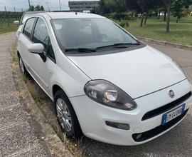 Fiat Punto 1.4 S&S 8V 5 porte Lounge Adatta Neopat