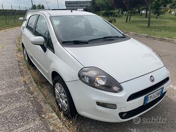 Fiat Punto 1.4 S&S 8V 5 porte Lounge Adatta Neopat