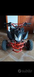miniquad 50cc