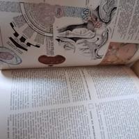i grandi temi della medicina
