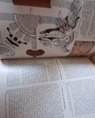 i grandi temi della medicina