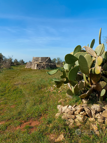 Terreno località Barbuglia