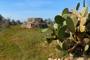Terreno località Barbuglia