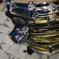 Ludwig Classic Maple