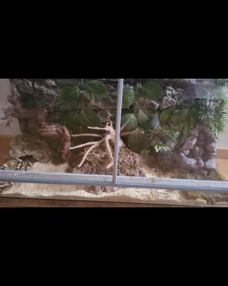 TECA PER RETTILI 120×50×50 CM COME NUOVA