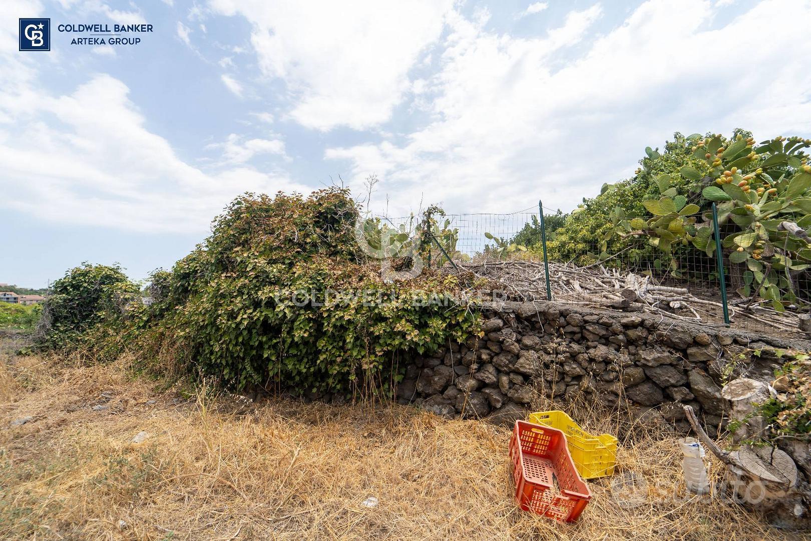 Terreno agricolo - Acireale - Vista 4