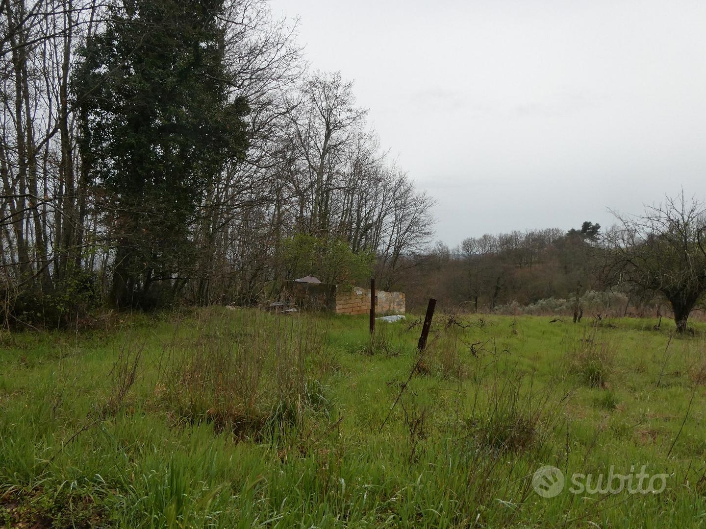 Terreno agricolo con vista sul lago di Bolsena - Vista 2