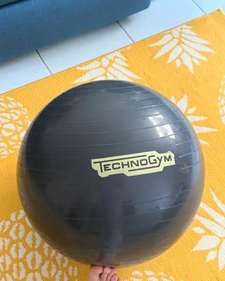 Wellness ball Technogym