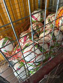 Palloni calcio