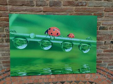 Canvas quadro su tela Coccinelle