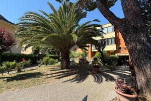 3 LOCALI A RICCIONE