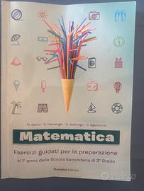 Matematica - esercizi guidati