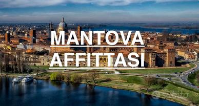 MANTOVA - BILOCALE