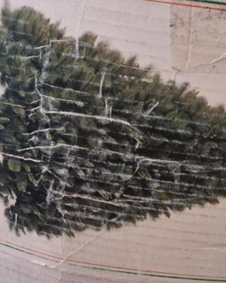 albero di natale 