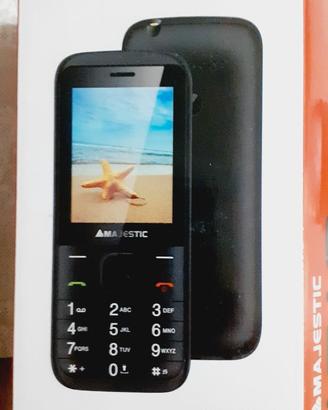 CELLULARE VINTAGE MAJESTIC
