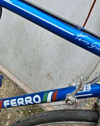bicicletta ferri giulio