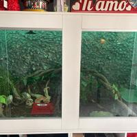 Rettilario su misura