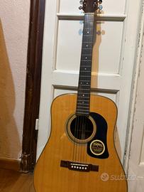 Chitarra Acustica Washburn D13 Solid Top