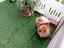 Immagine 5