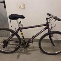 Mountain bike