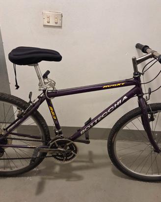 Mountain bike
