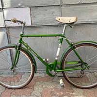 Condorino superba