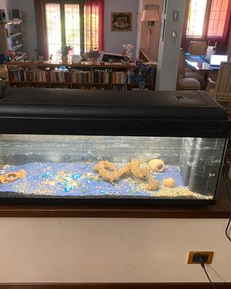 Acquario per appassionati