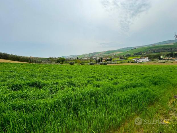 Terreno - Fermo