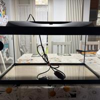 Acquario Tetra Starter Line 54 litri
