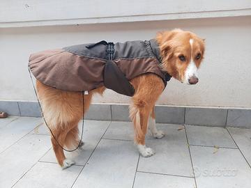 Cappotto Cani taglia grande