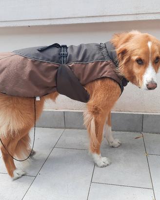 Cappotto Cani taglia grande