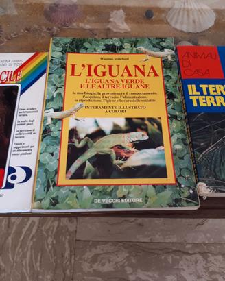 Libri