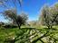 Immagine 18