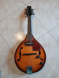 Mandolino Elettrico 