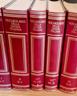 5 volume Dizionario Treccani