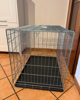 kennel per cani