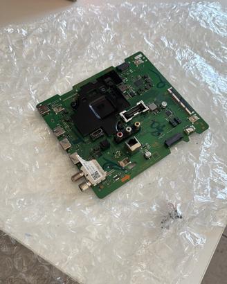 Componenti Samsung 55 - QE55Q60TAU