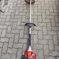 DECESPUGLIATORE A BENZINA