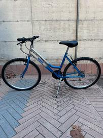 Mountain bike Doniselli
