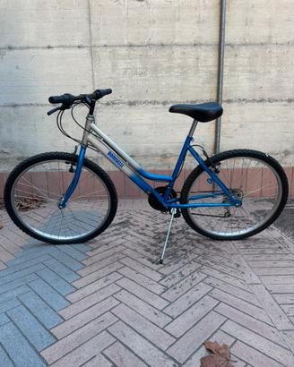 Mountain bike Doniselli