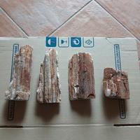 Articoli acquario nuovi