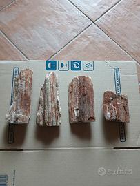 Articoli acquario nuovi