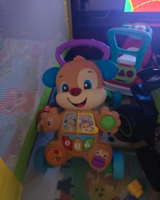 Primipassi