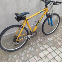 bici mtb kastle