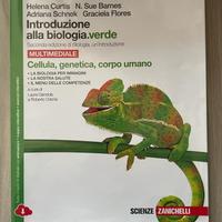 Libri di scuola