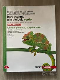 Libri di scuola