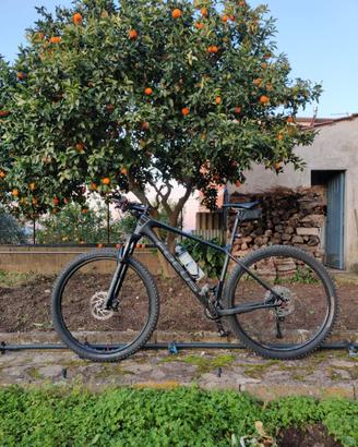 MTB Focus Raven