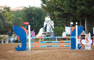 Cavallo da salto