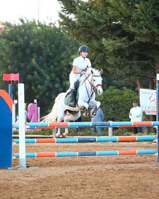 Cavallo da salto